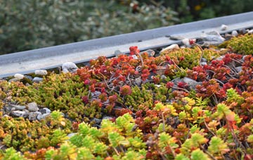 the cost of Ravensden green roof installation