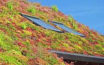 Ravensden living roof systems