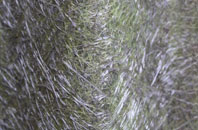 Ravensden fibreglass roof work